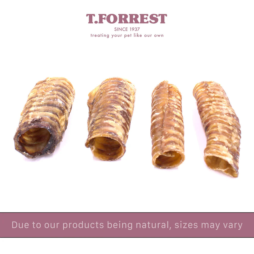 Buffalo Trachea (2 Pieces)