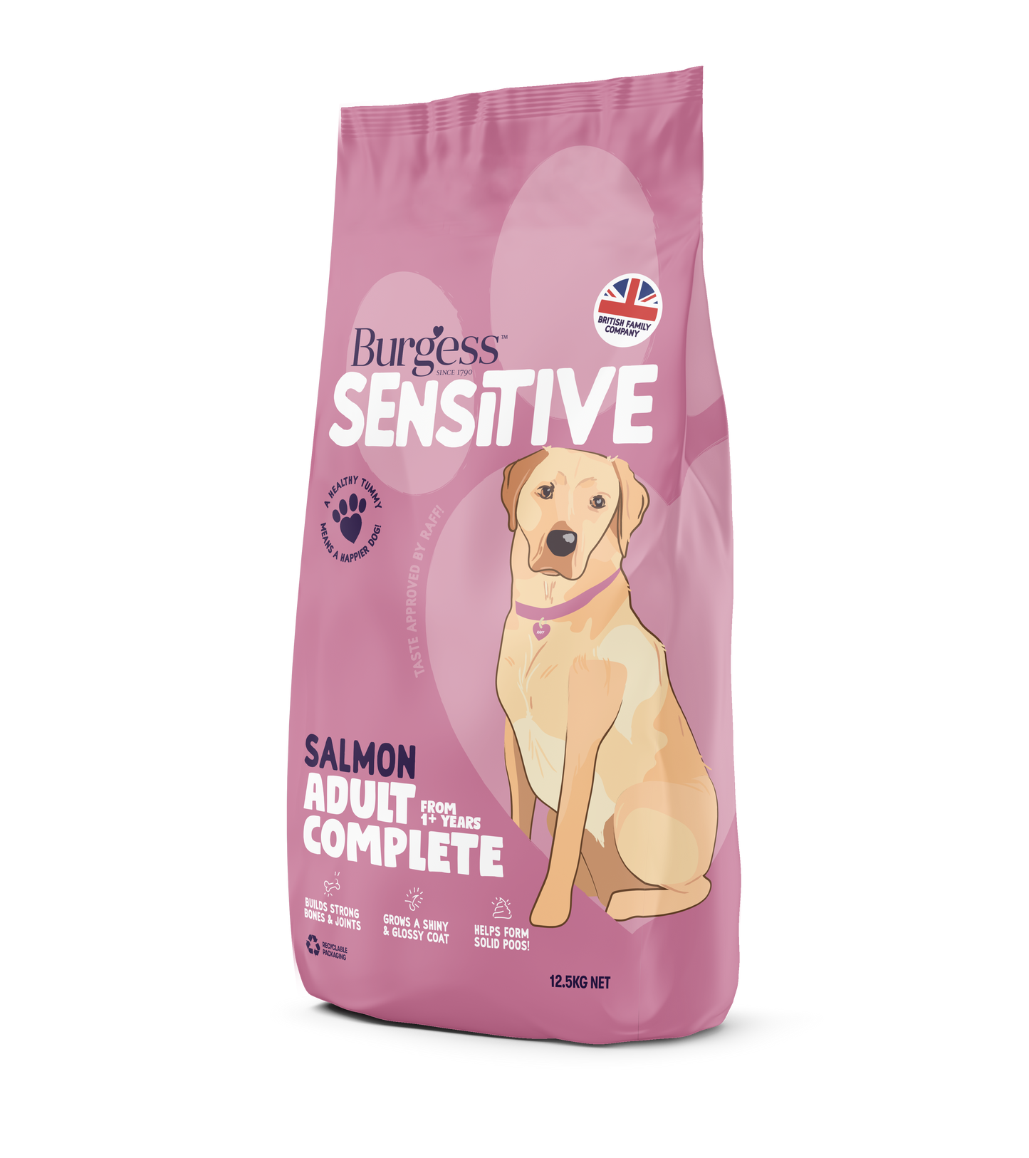 Burgess Sensitive Adult Salmon