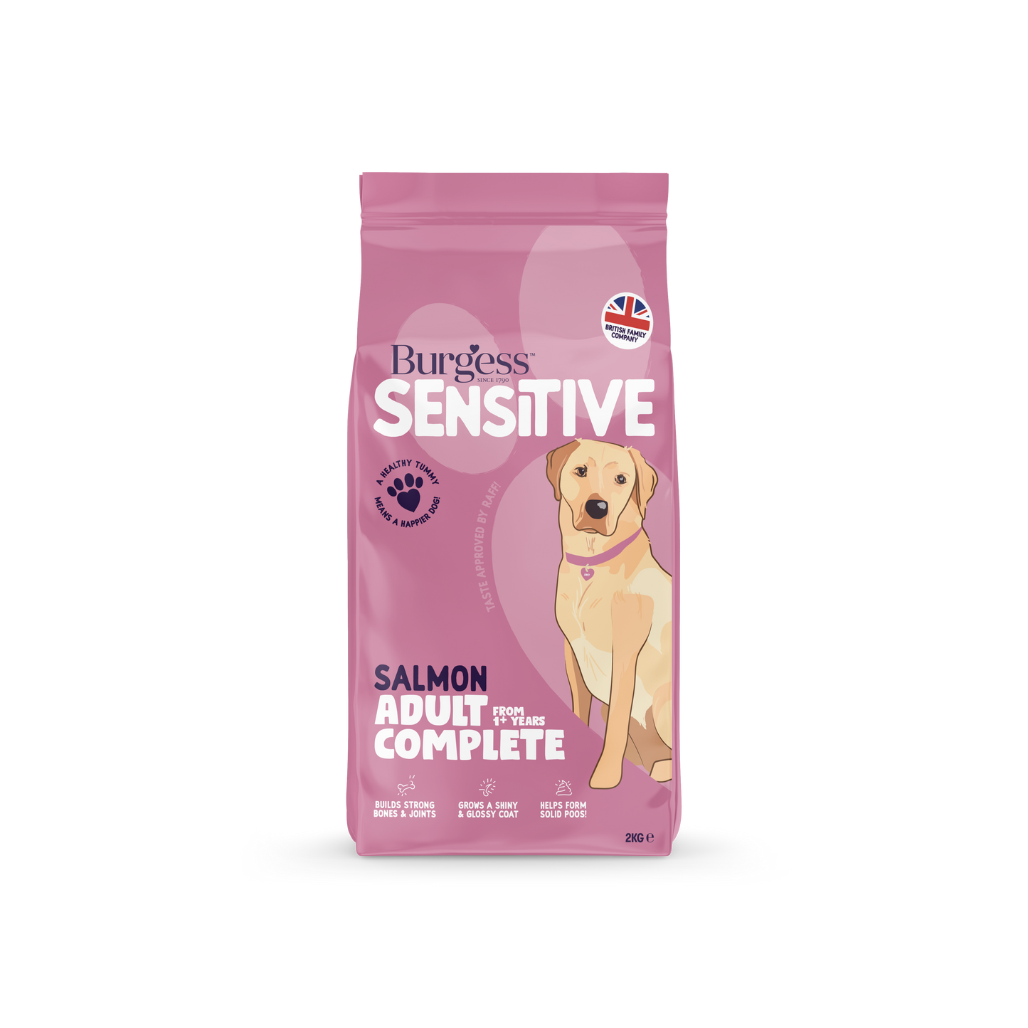 Burgess Sensitive Adult Salmon