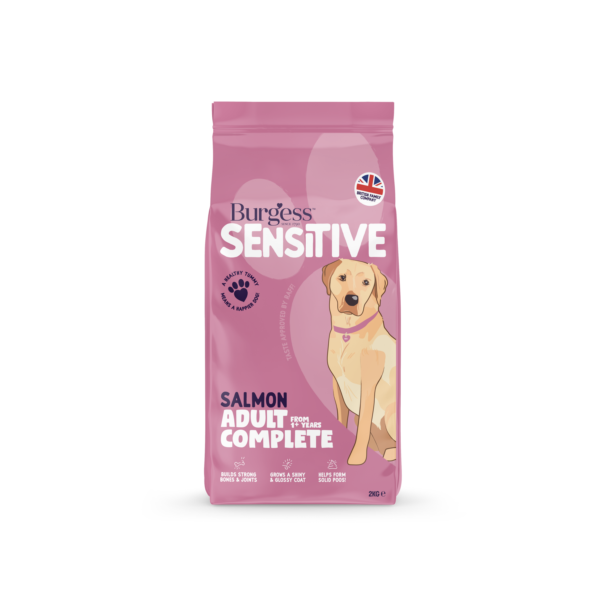 Burgess Sensitive Adult Salmon