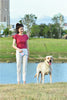 Dog Lead Retractable Puppy Training Pet Leash Extending Tape Cord 5m - Max 70kg Petsraw