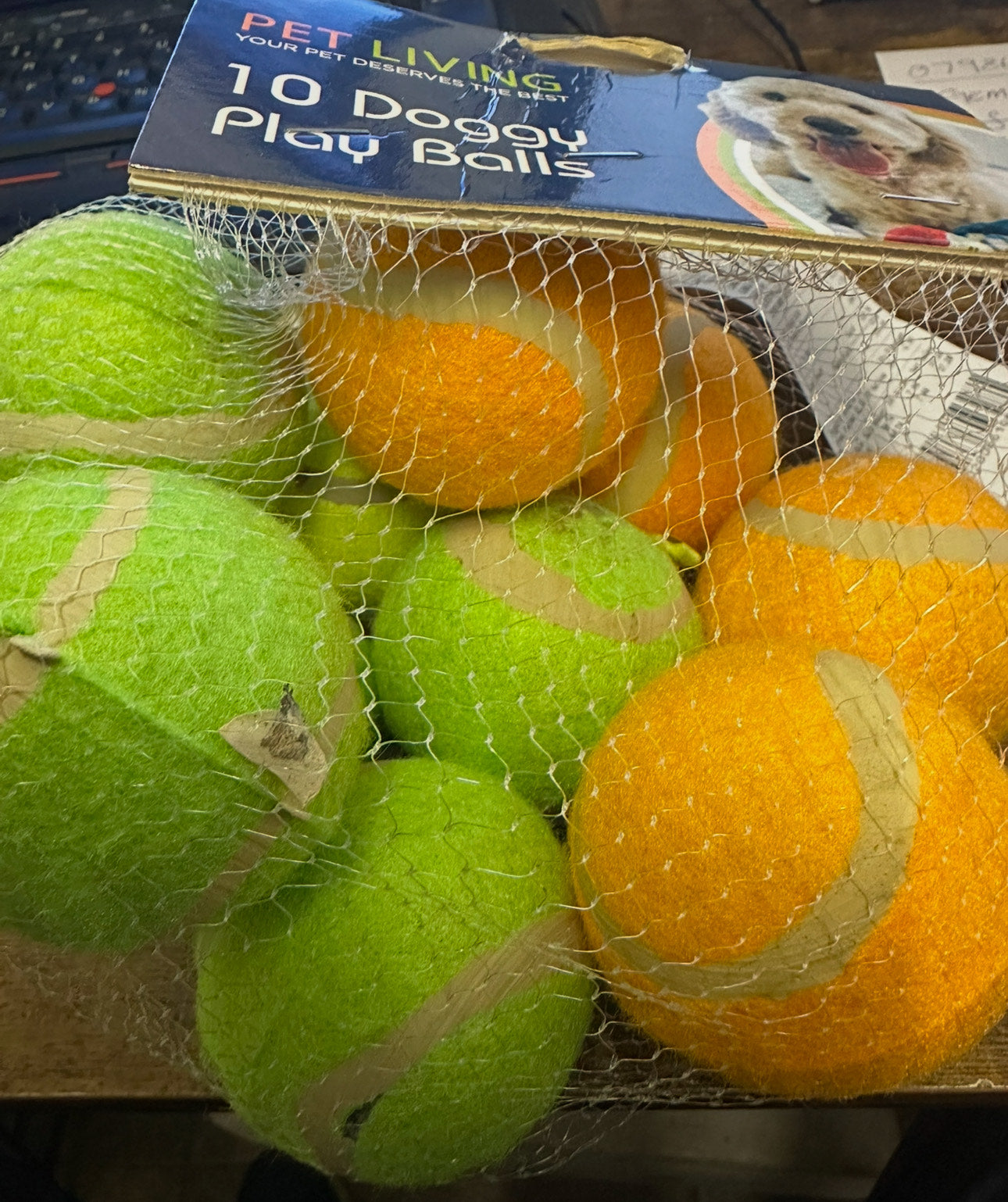 10 Doggy Play Balls