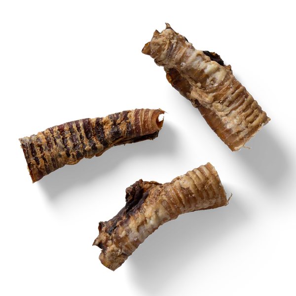 NAW Beef Trachea (200g)