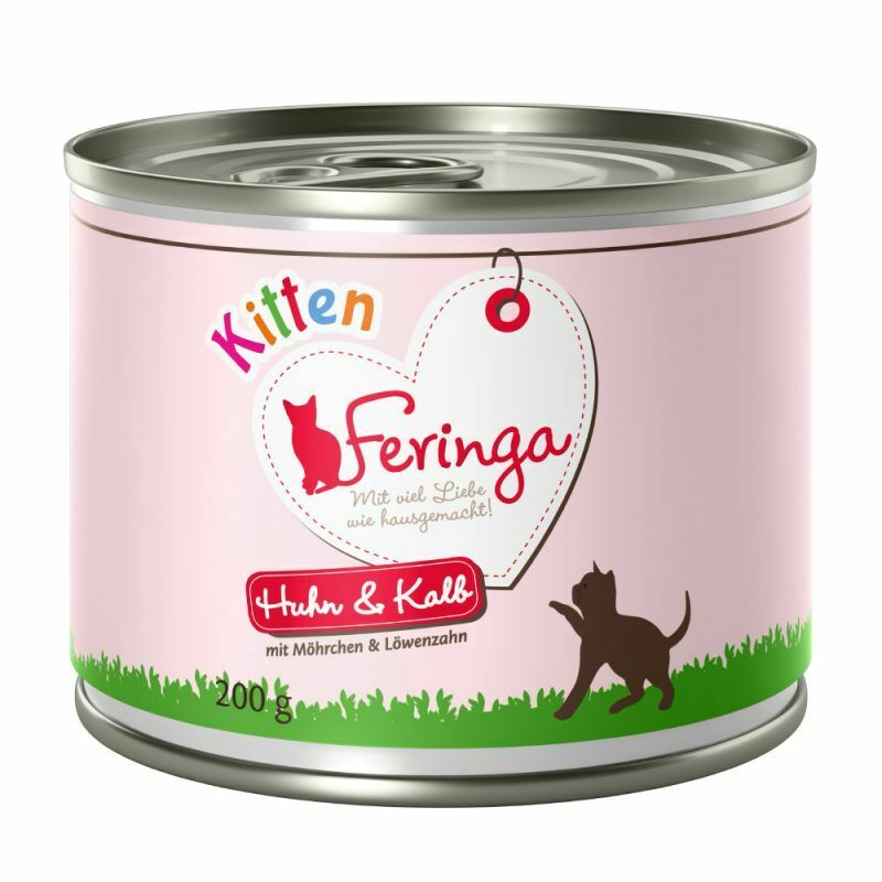Feringa Menu Kitten