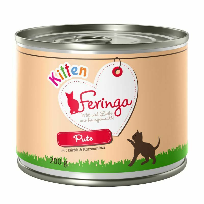 Feringa Menu Kitten