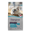 BURGESS NEUTERED CAT