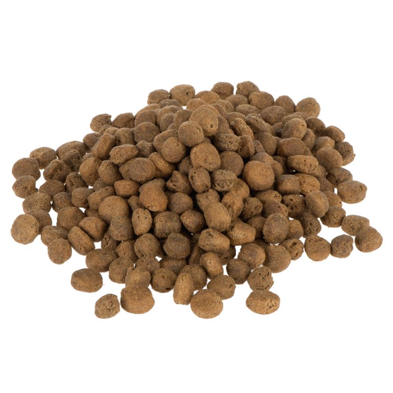 Wolf of Wilderness Senior "Green Fields" - Lamb Dog Food