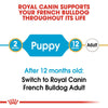 Royal Canin French Bulldog Puppy