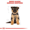 Royal Canin Breed Health German Shepherd Dry Puppy Food 12kg