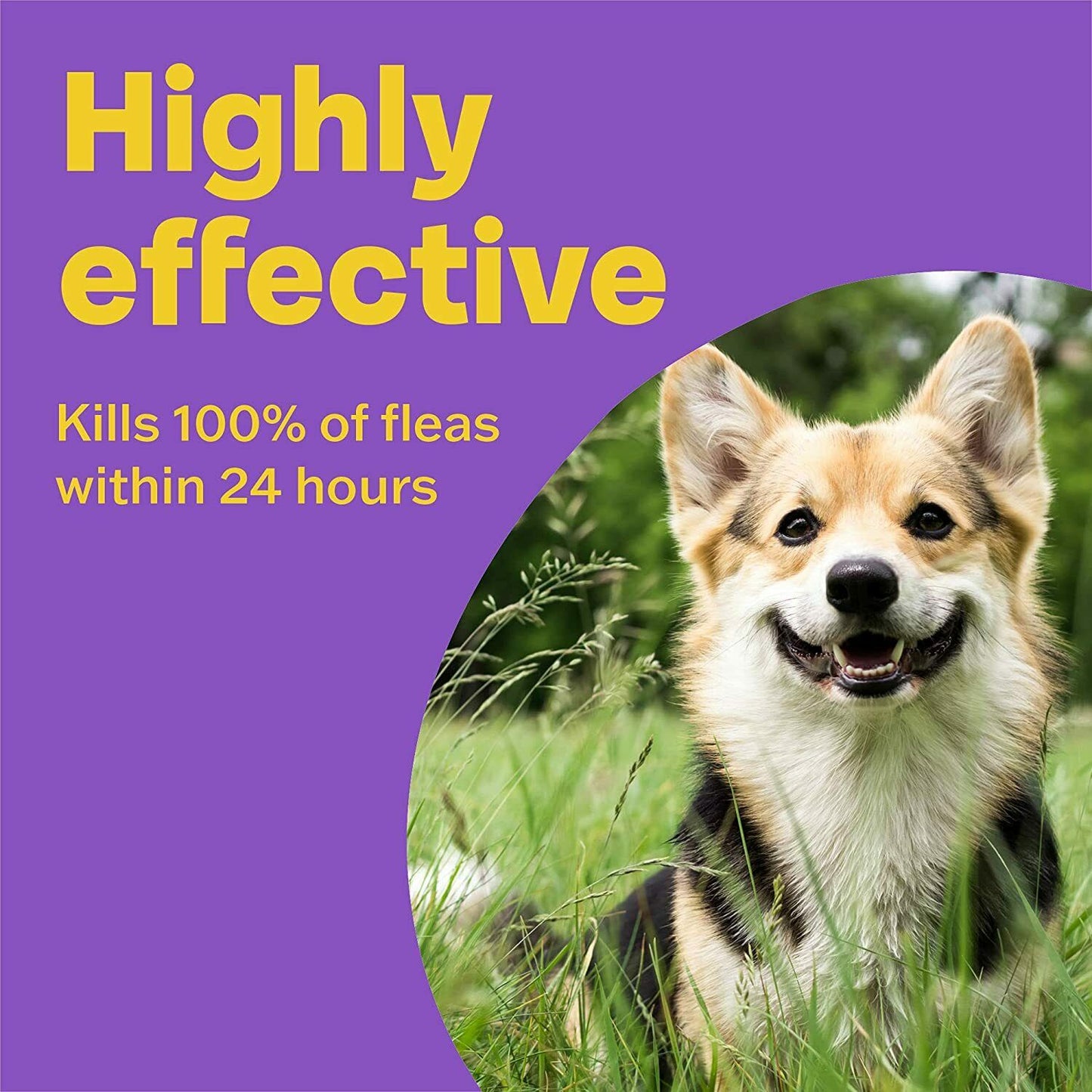 Bob Martin Clear Flea 3 Tablet Dogs Puppies 1-11 Kg Anti Bacterial Tick Pet