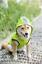 Puppy Pet Dog Rain Coat Reflective Waterproof Hooded Jacket Vest Outdoor Clothes Petsraw