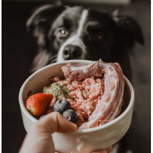 The Raw Deal: Unveiling the Advantages of Raw Dog Food