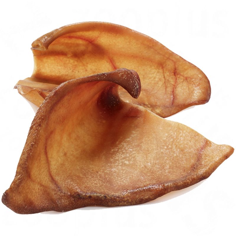 Pig Ears Single