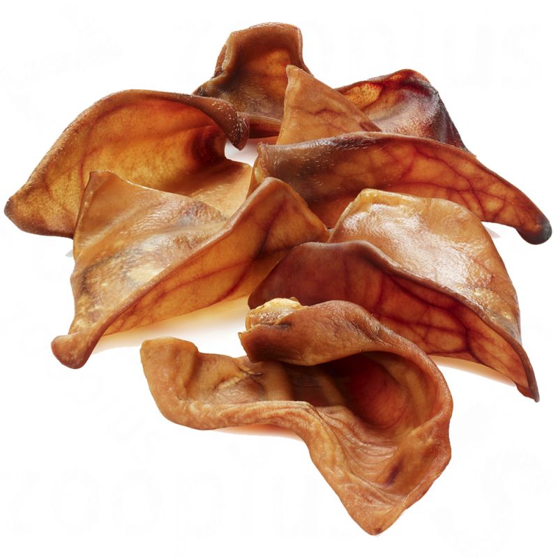 Pig Ears Single