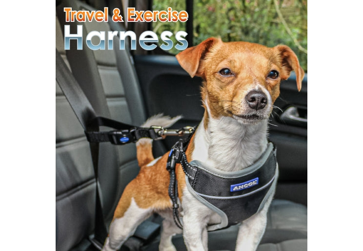 Ancol Travel & Exercise Dog Harness Small 37-58cm