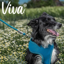 VIVA ROPE LEAD REFLECTIVE BLUE 1.07MX1.2CM