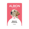 Albion Bulls Pizzles – 5 Pieces