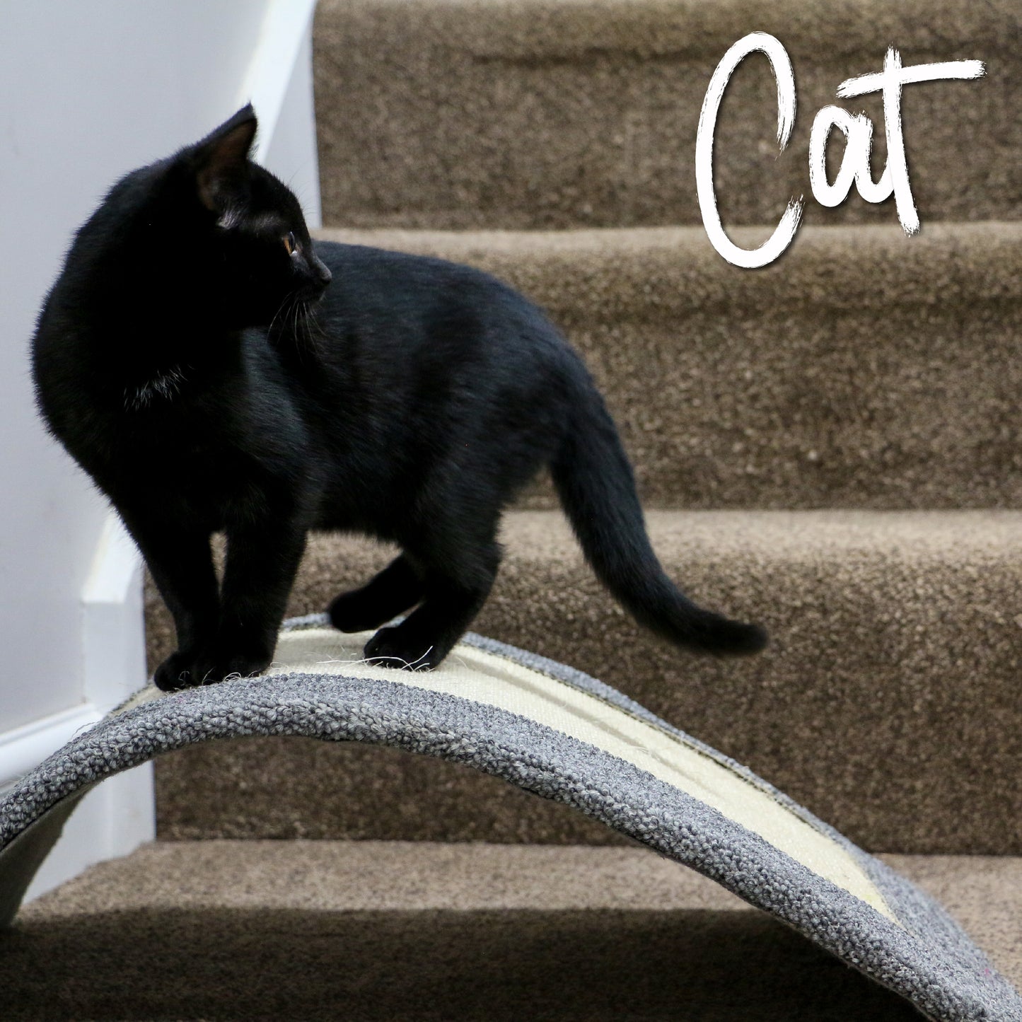 CAT SCRATCH RAMP