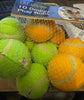 10 Doggy Play Balls