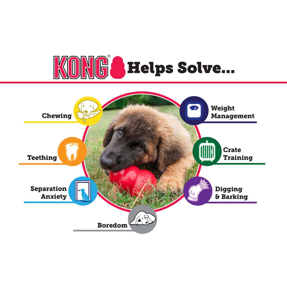 KONG® Puppy Medium