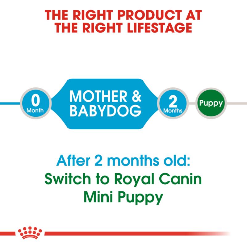 Royal Canin Starter Mousse Mother & Babydog