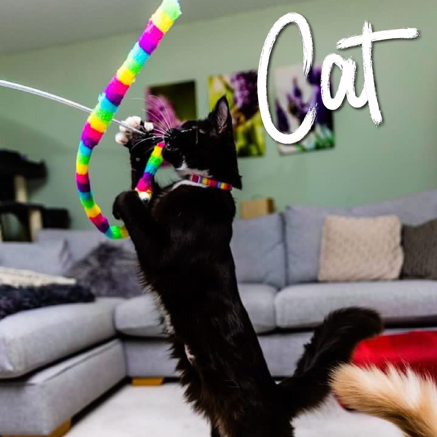 WIGGLE WORM CAT DANGLER RAINBOW