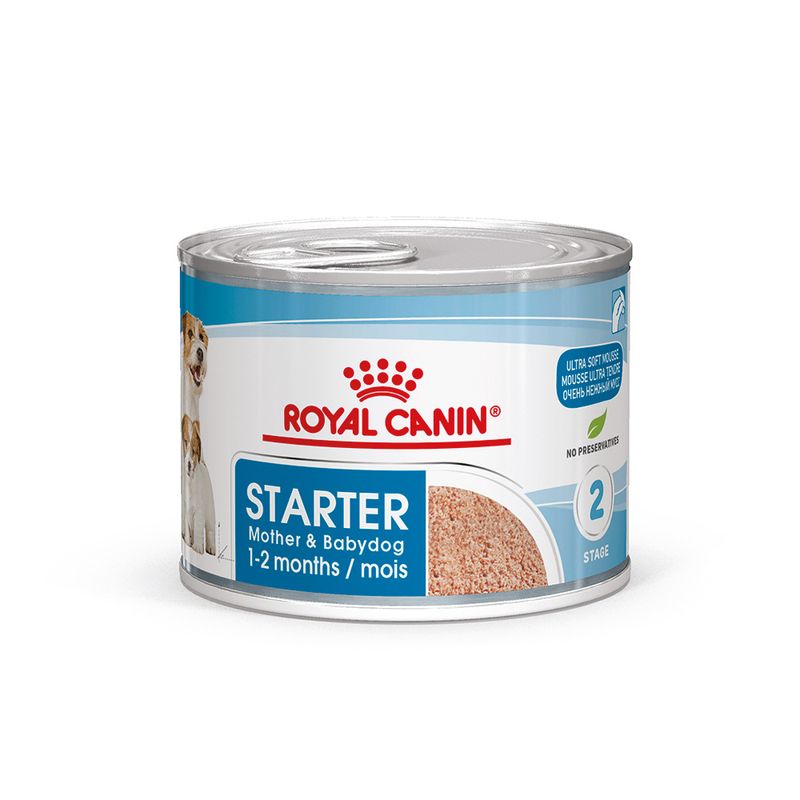 Royal Canin Starter Mousse Mother & Babydog