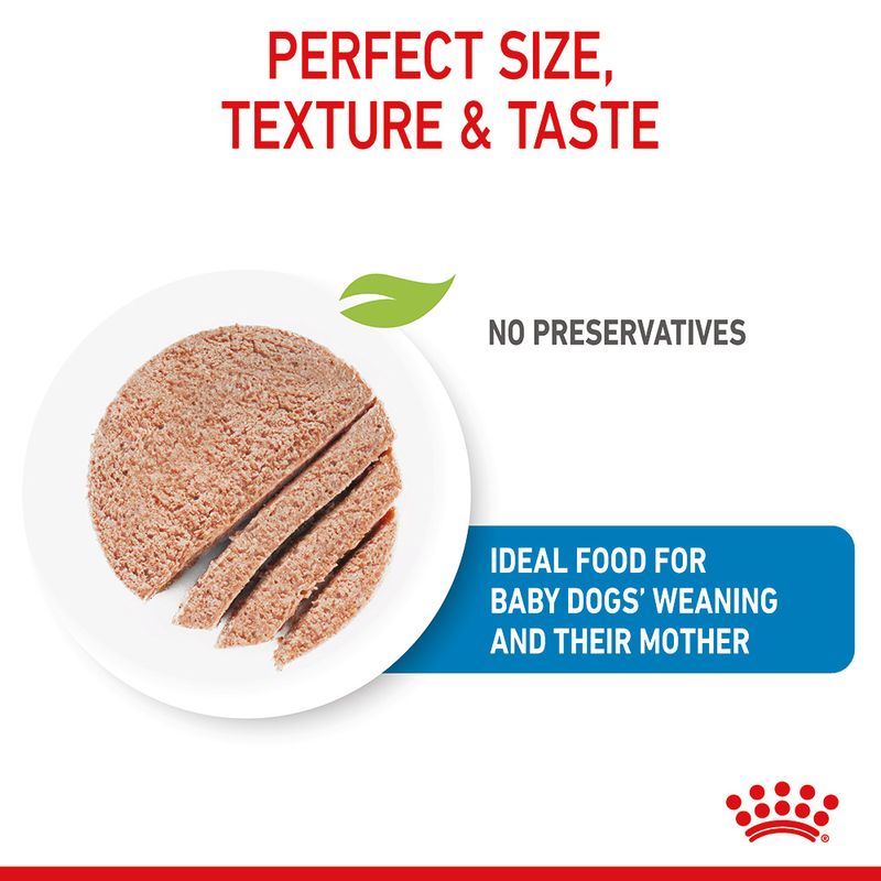 Royal Canin Starter Mousse Mother & Babydog