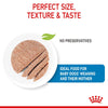 Royal Canin Starter Mousse Mother & Babydog