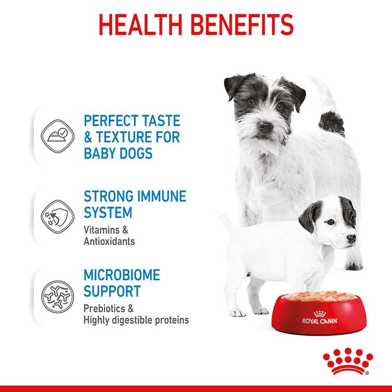 Royal Canin Starter Mousse Mother & Babydog