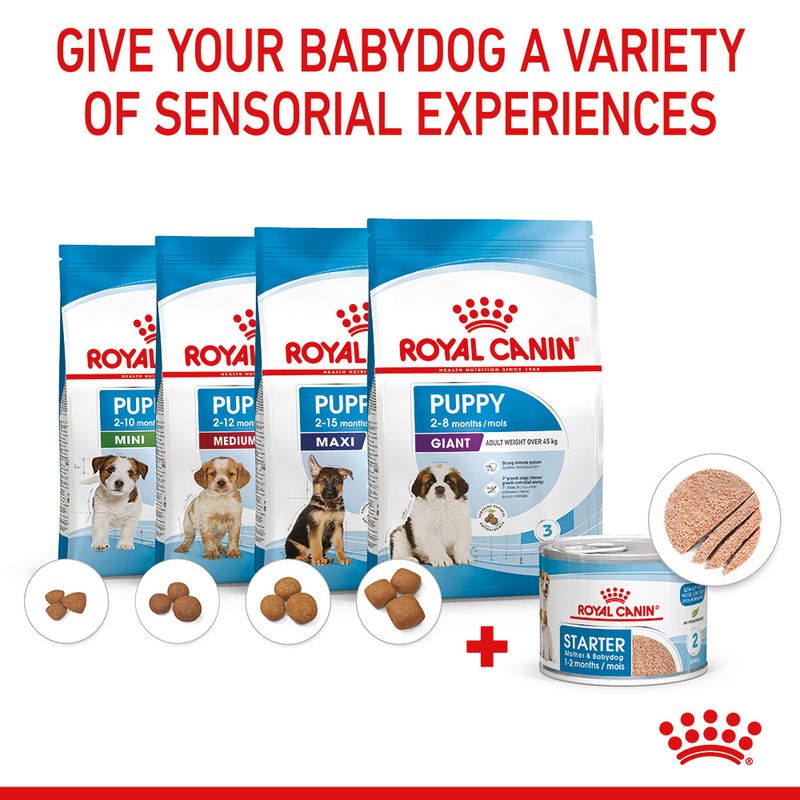 Royal Canin Starter Mousse Mother & Babydog
