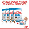 Royal Canin Starter Mousse Mother & Babydog
