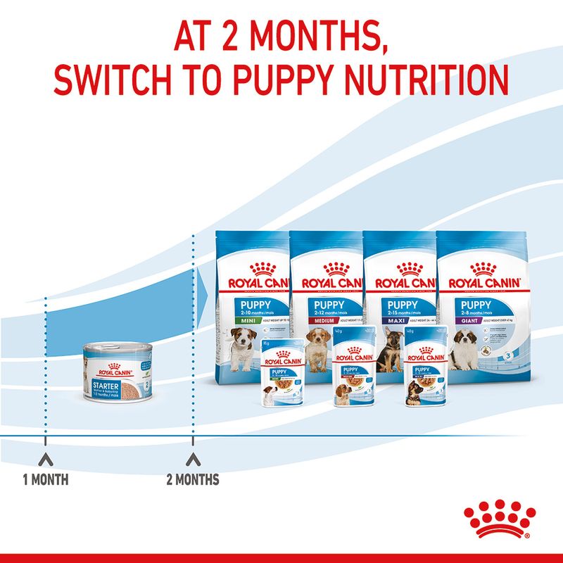 Royal Canin Starter Mousse Mother & Babydog
