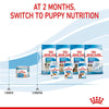Royal Canin Starter Mousse Mother & Babydog