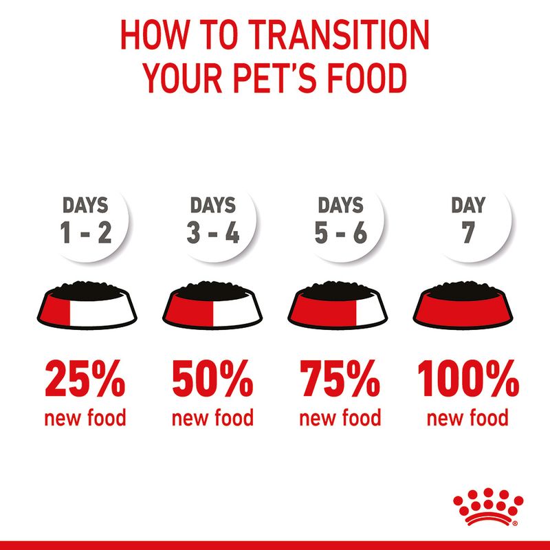 Royal Canin Starter Mousse Mother & Babydog