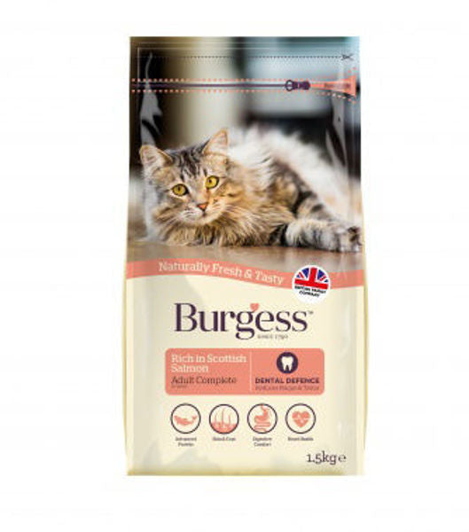 Burgess Cat - Scottish Salmon