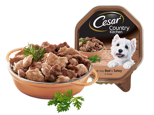 Cesar Country Kitchen Dog Tray with Beef and Turkey in Gravy 150g