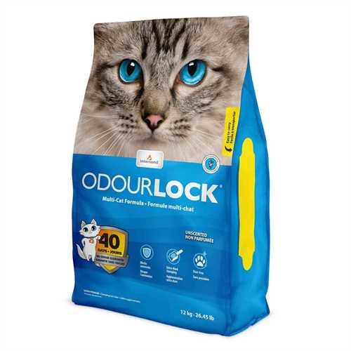 Intersand Odourlock Clay Cat Litter 12 KG