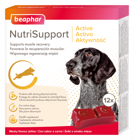 Beaphar NutriSupport Active Dog