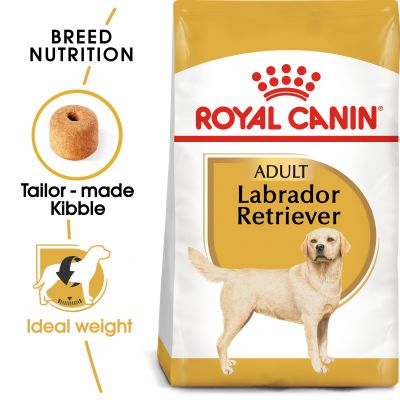 Royal Canin Adult Labrador Retriever