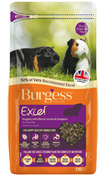 Excel Guinea Pig Nuggets with Blackcurrant & Oregano