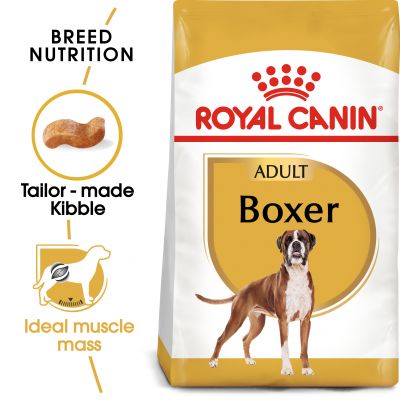 Royal Canin Boxer Adult