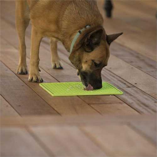 LickiMat Buddy Treat Mat Large