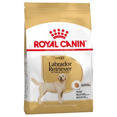 Royal Canin Adult Labrador Retriever