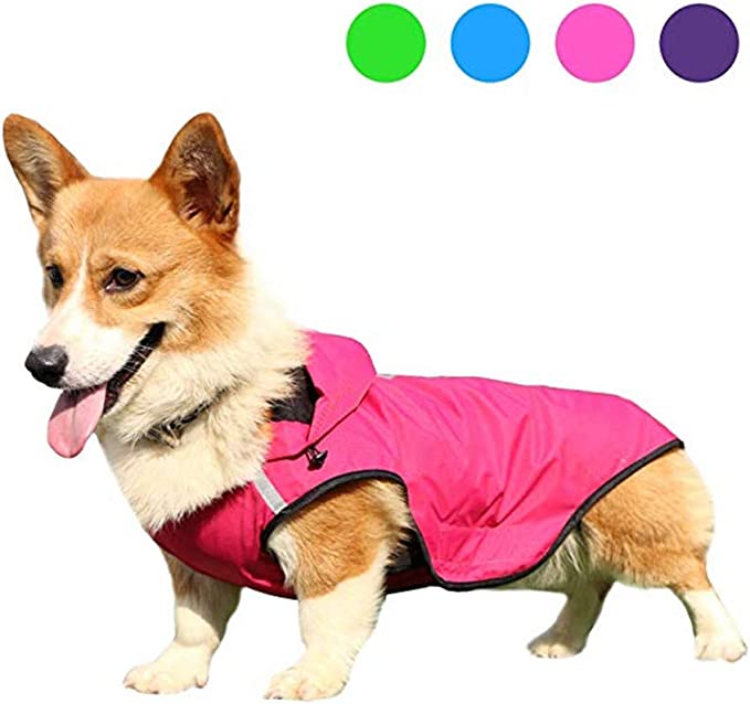 Dog Raincoat Jumpsuit Rain Coat for Dogs Pet Cloak Labrador Waterproof Windproof Golden Retriever Jacket Clothes