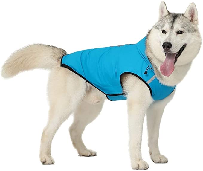 Dog Raincoat Jumpsuit Rain Coat for Dogs Pet Cloak Labrador Waterproof Windproof Golden Retriever Jacket Clothes