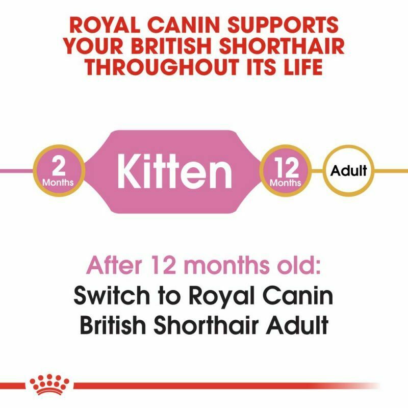 Royal Canin British Shorthair Kitten