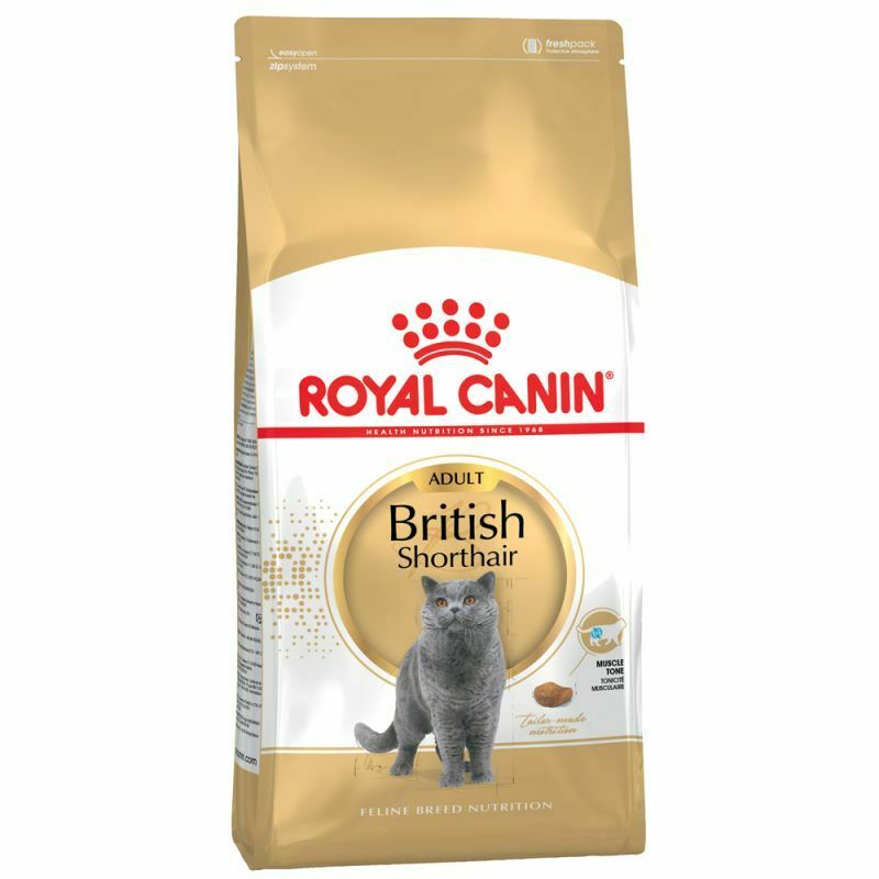 Royal Canin British Shorthair Adult