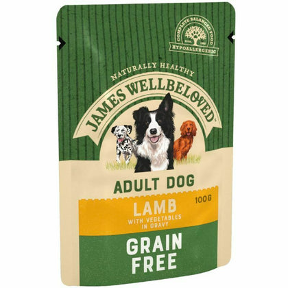 James Wellbeloved Adult Grain Free Pouches - Lamb with Vegetables