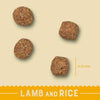 James Wellbeloved Junior - Lamb & Rice